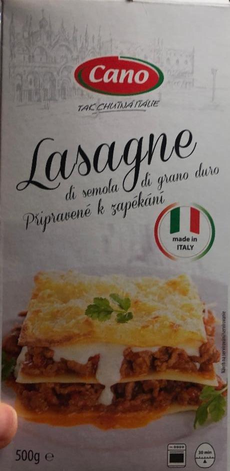 Fotografie - Lasagne Cano