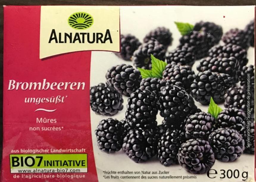 Fotografie - Bio Brombeeren Alnatura