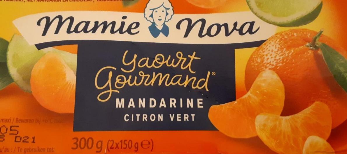 Fotografie - Yaourt Gourmand Mandarine Citron vert Mamie Nova