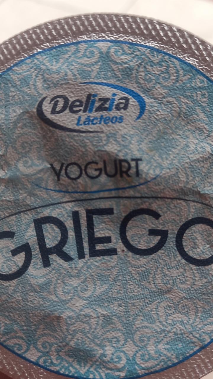 Fotografie - Yogurt Griego Delizia