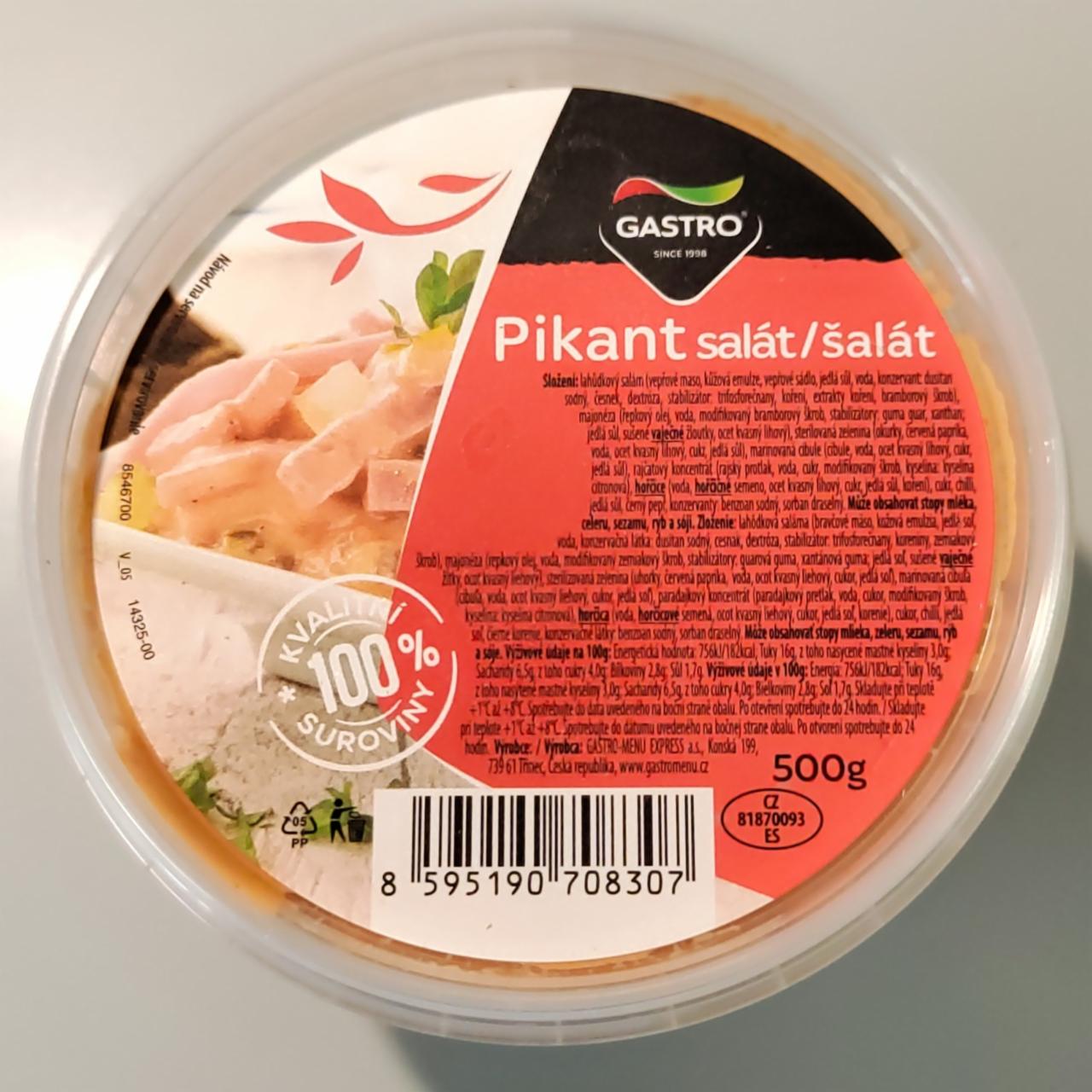 Fotografie - Pikant salát Gastro