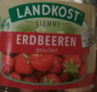 Fotografie - Erdbeeren Landkost