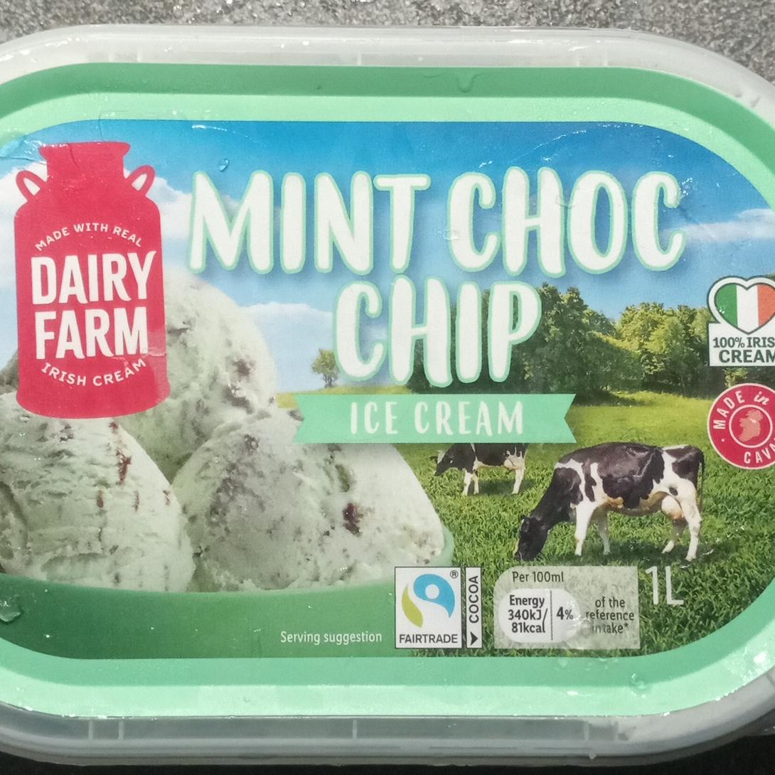 Fotografie - Mint choc chip ice cream Dairy farm