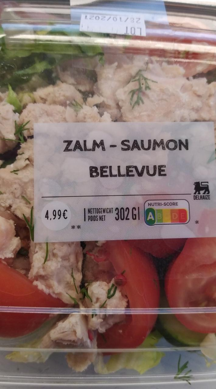 Fotografie - zalm saumon bellevue