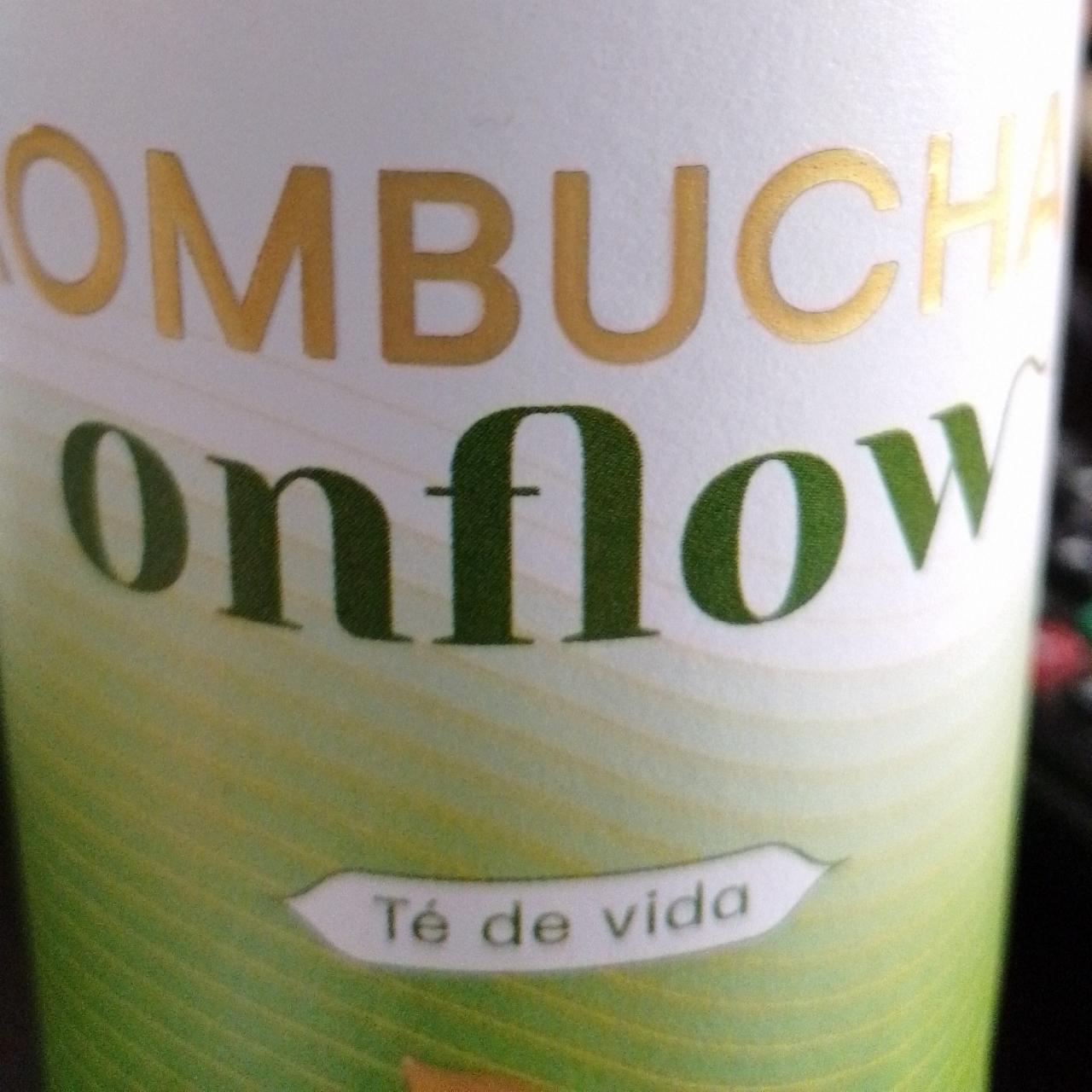 Fotografie - Kombucha Onflow