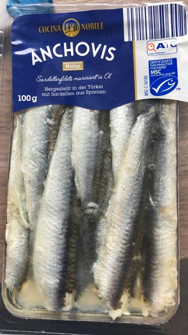 Fotografie - Anchovis Natur, Sardellenfilets mariniert in Öl Cucina Nobile