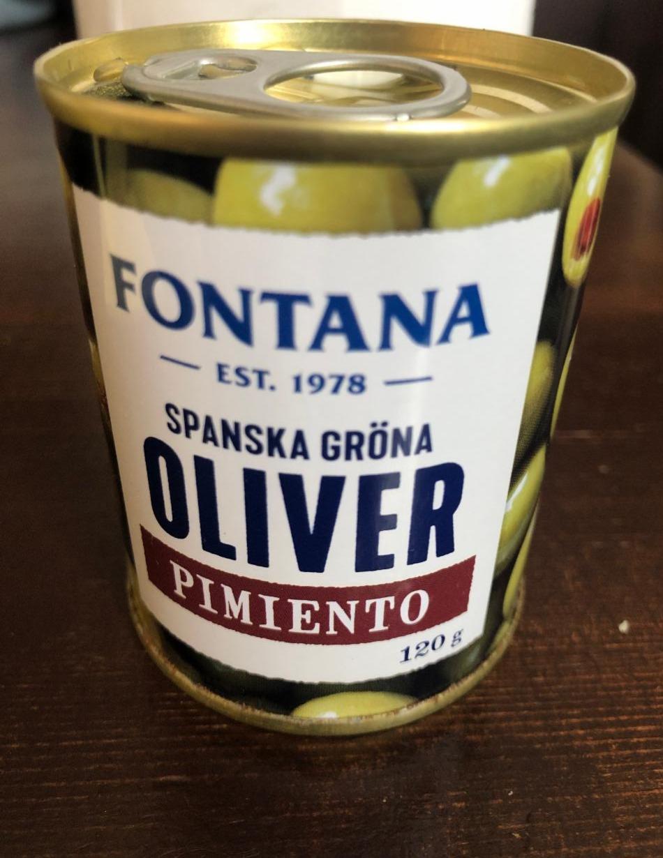 Fotografie - Oliver Pimento Spanska Gröna Fontana