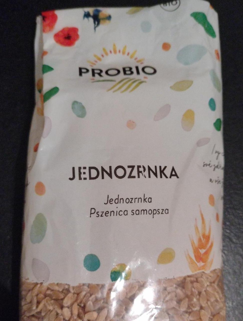 Fotografie - Jednozrnka Probio