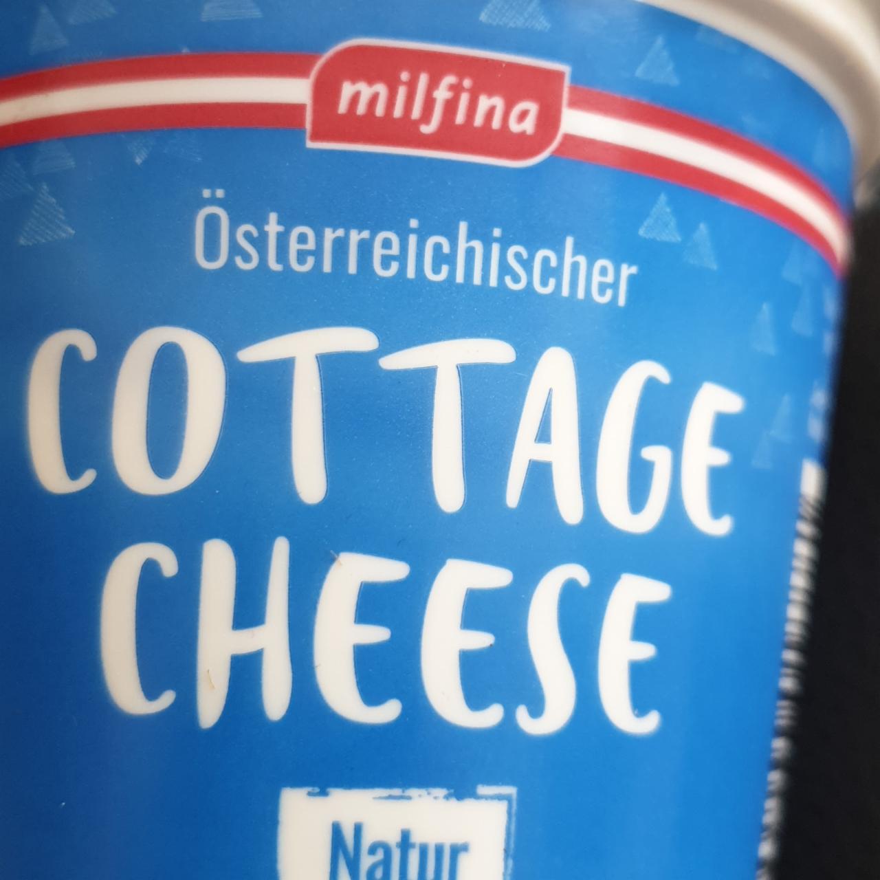 Fotografie - Cottage cheese/ natur/ milfina/Hofer