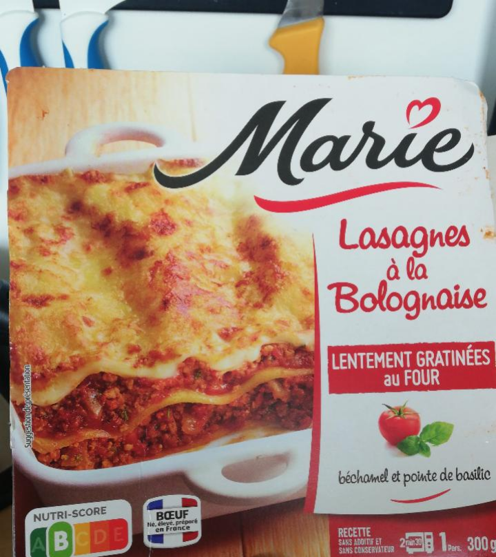 Fotografie - Lasagnes ála Bolognaise