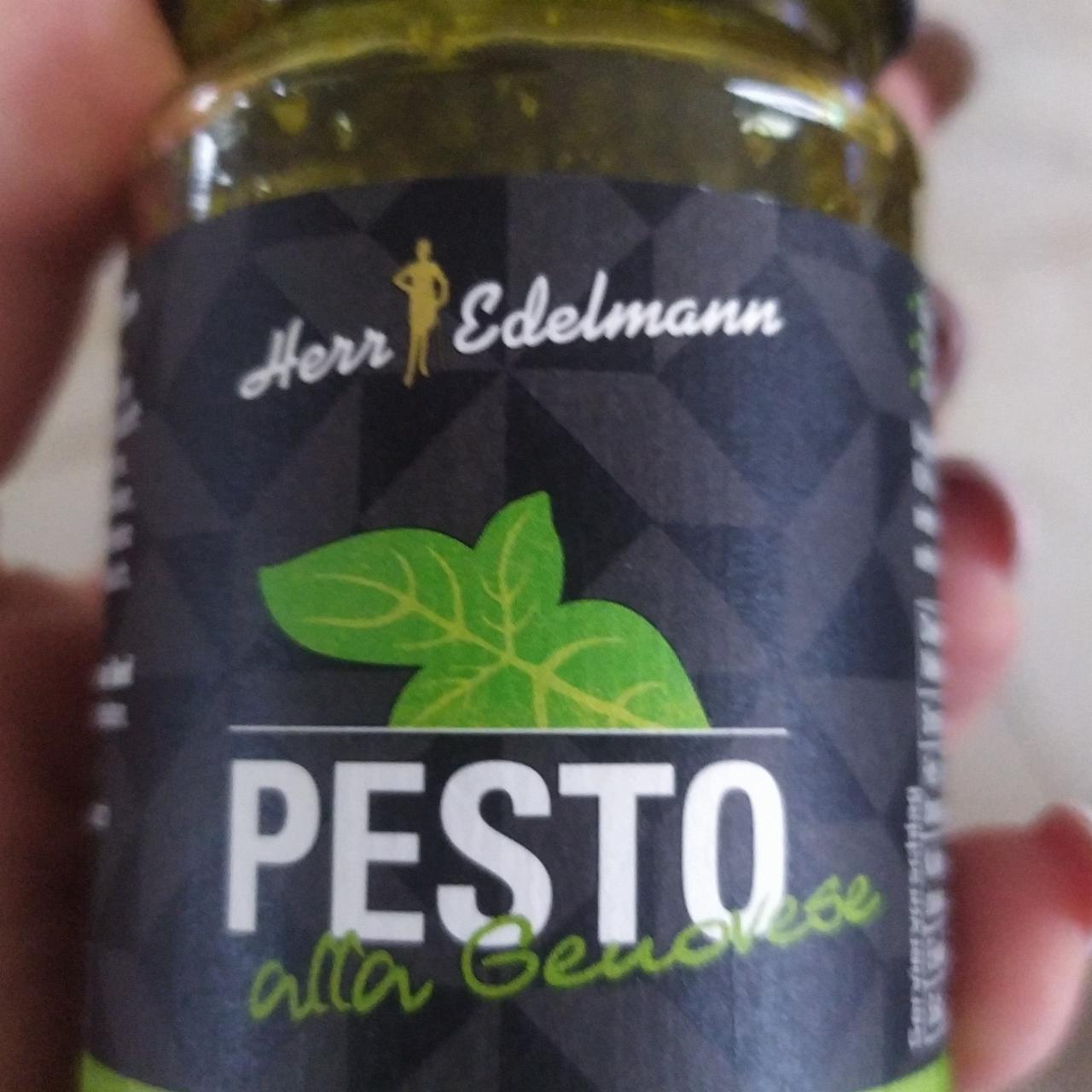 Fotografie - Pesto alla genovese Herr Edelmann