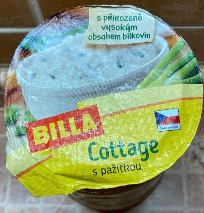 Fotografie - Cottage Cheese pažitka Billa