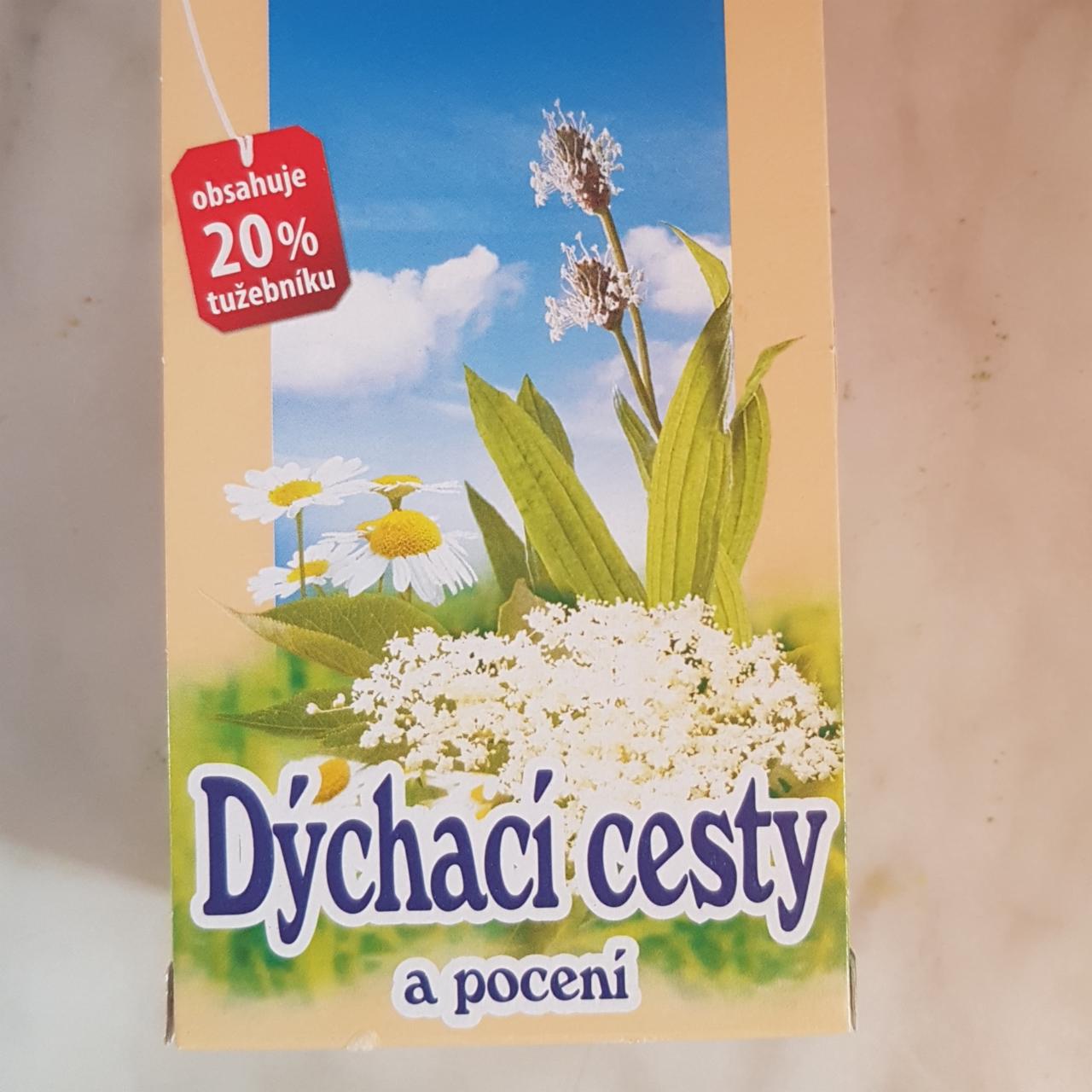 Fotografie - Dýchací cesty a pocení Apotheke