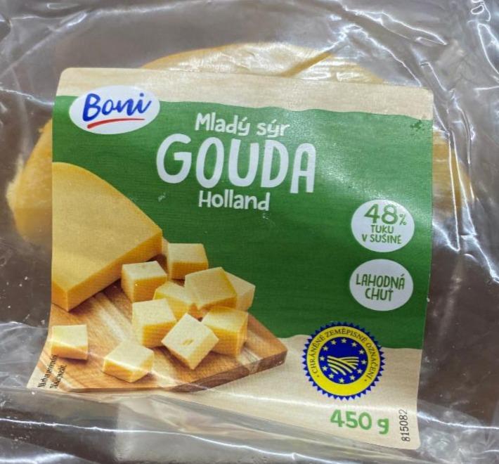 Fotografie - Gouda mladý sýr Holland Boni