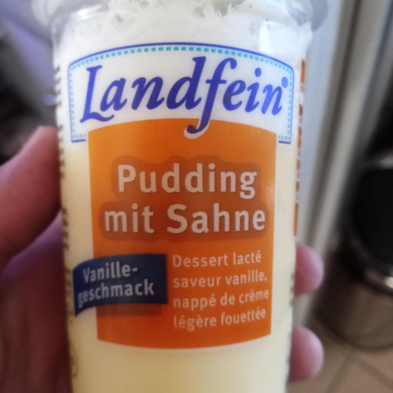 Fotografie - Pudding mit sahne vanille-geschmack Landfein