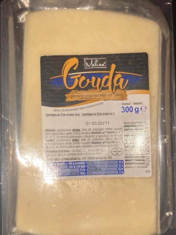 Fotografie - Gouda Milsy 45%