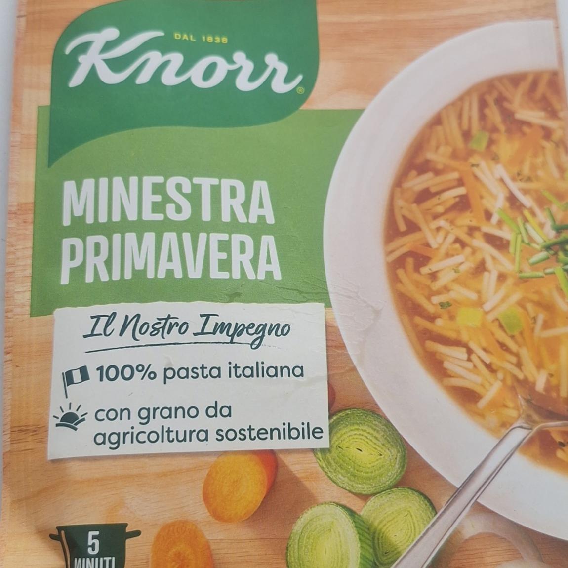 Fotografie - Minestra primavera Knorr