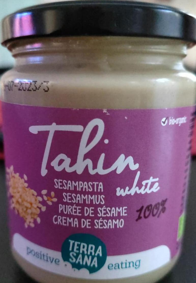 Fotografie - Tahini bílé BIO Terra sana