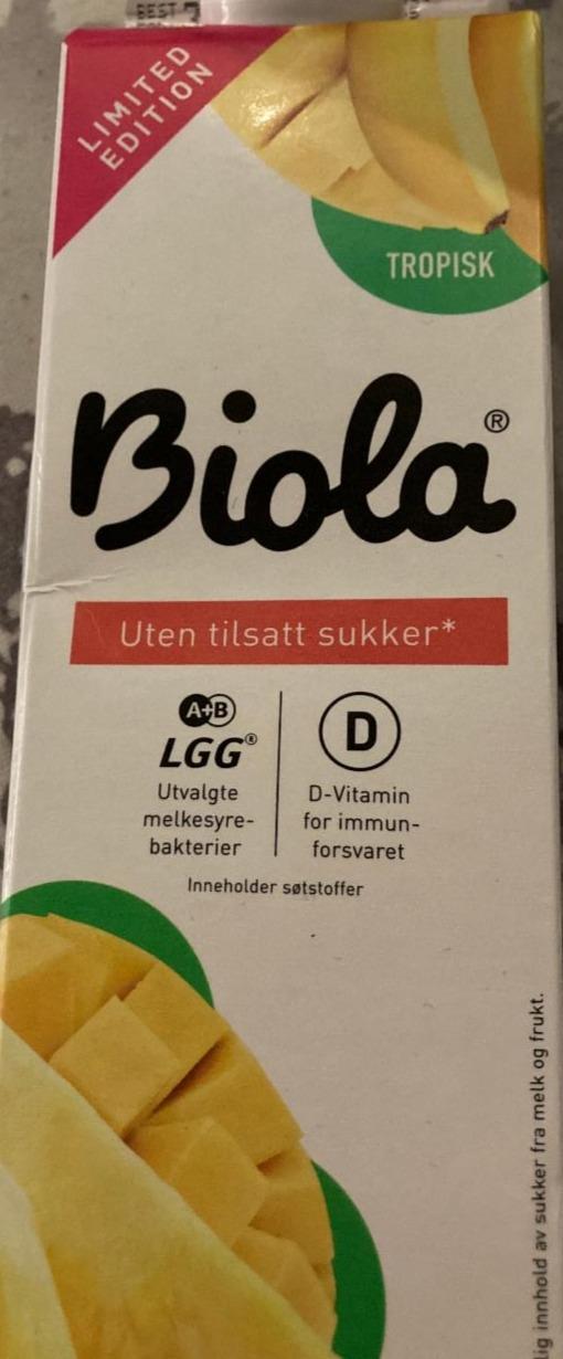 Fotografie - Biola tropisk