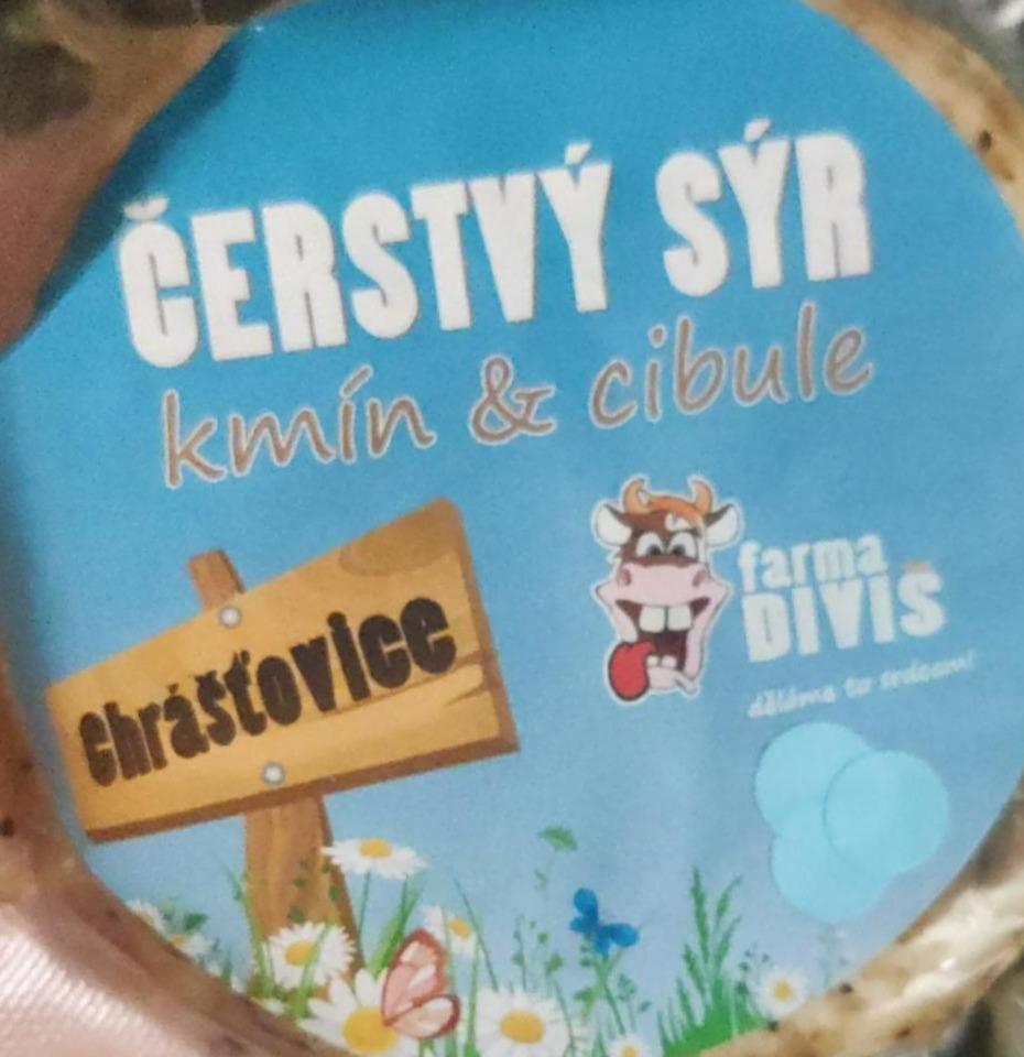 Fotografie - čerstvý sýr kmín & cibule Farma Diviš