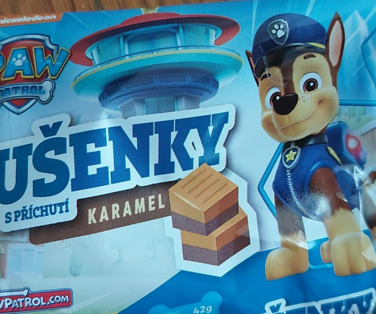 Fotografie - Sušenky s příchutí karamel Paw Patrol