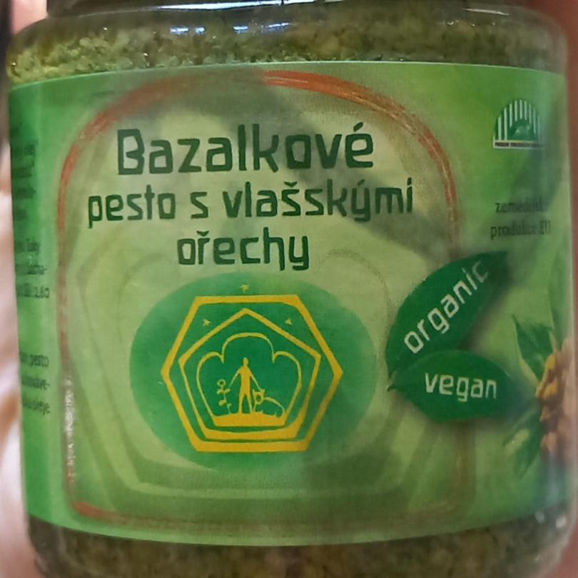 Fotografie - Bazalkové pesto s vlašskými ořechy