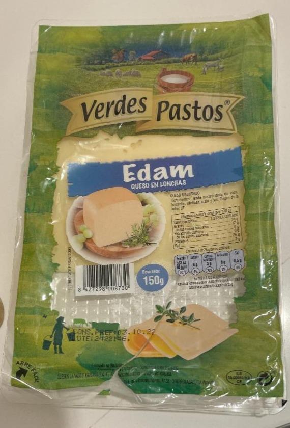 Fotografie - Edam Verdes Pastos