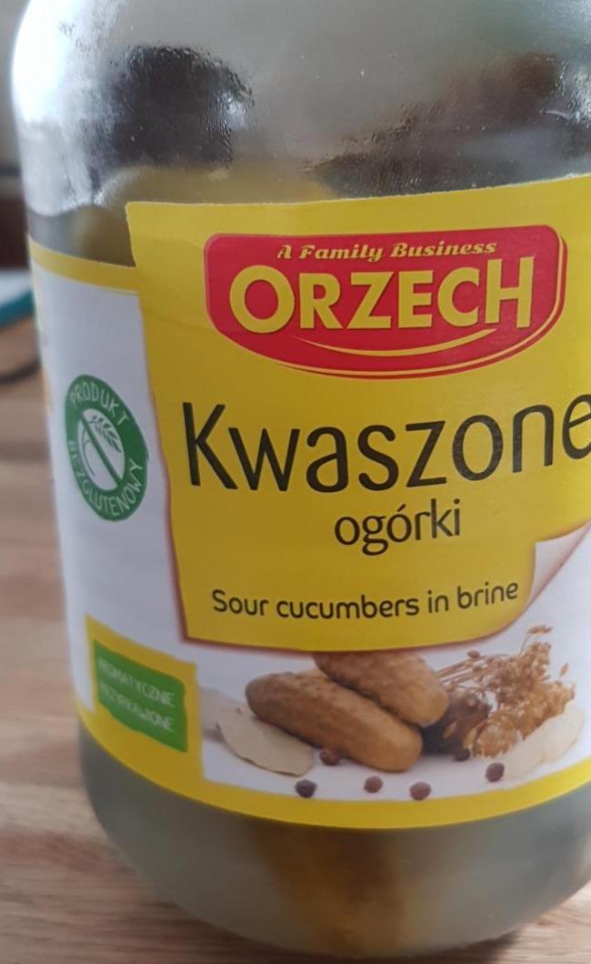 Fotografie - Kwaszone ogórki Orzech