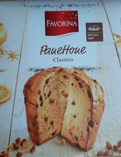 Fotografie - Panettone classico Favorina