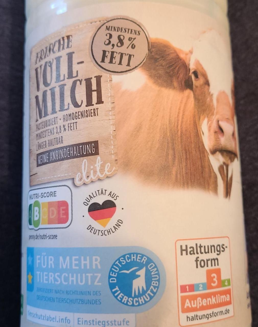 Fotografie - Frische voll-milch 3,8% fett Elite