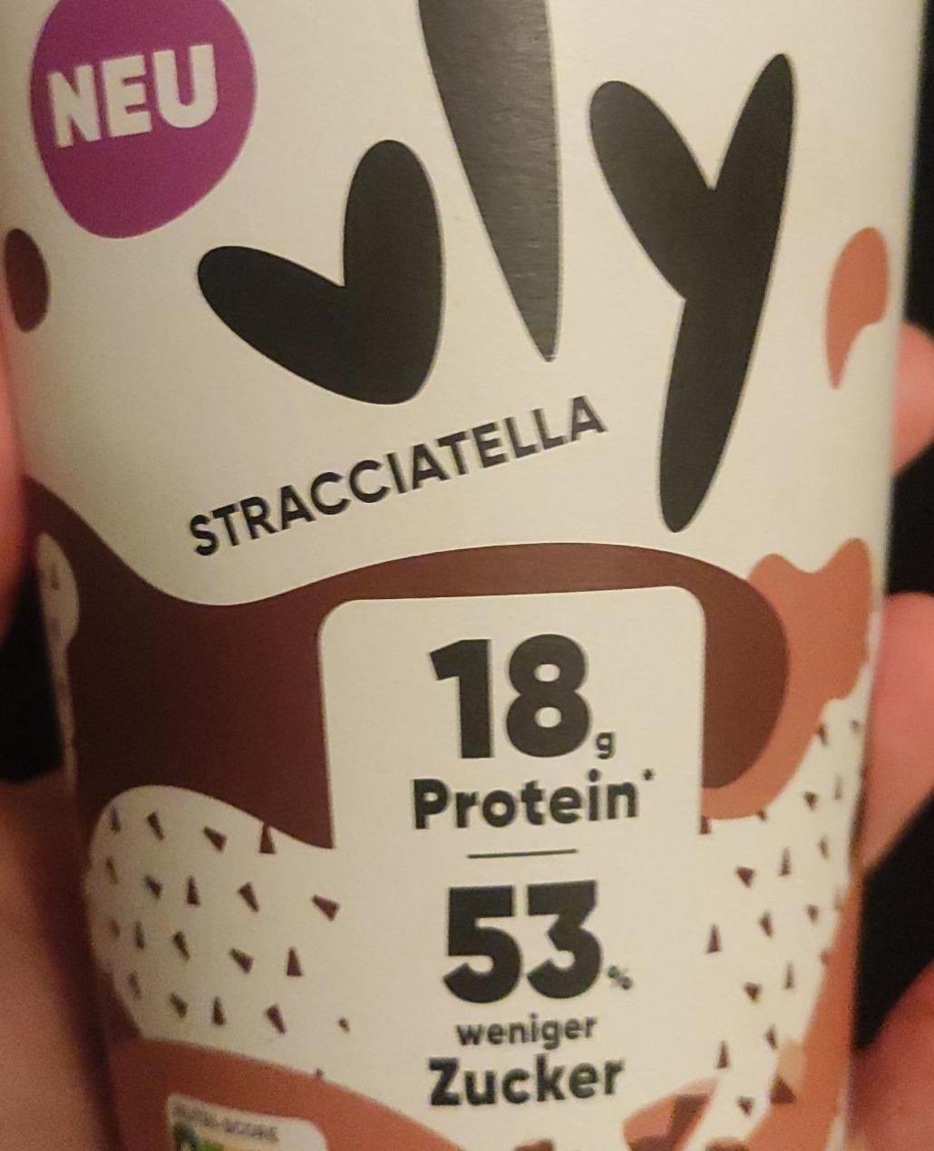 Fotografie - Stracciatella 18g protein Vly