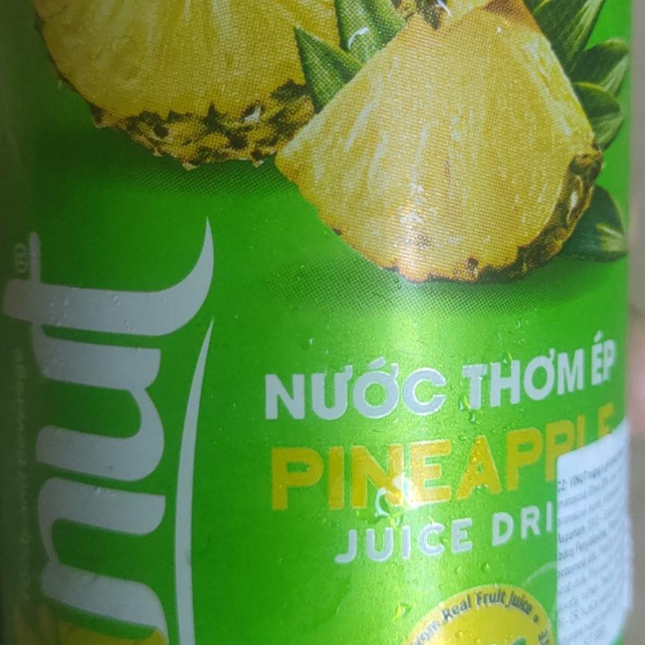 Fotografie - Pineapple juice drink Vinut