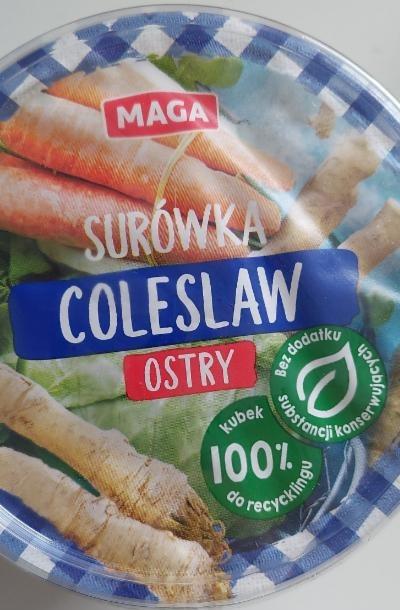 Fotografie - Surówka Colesław ostry Maga