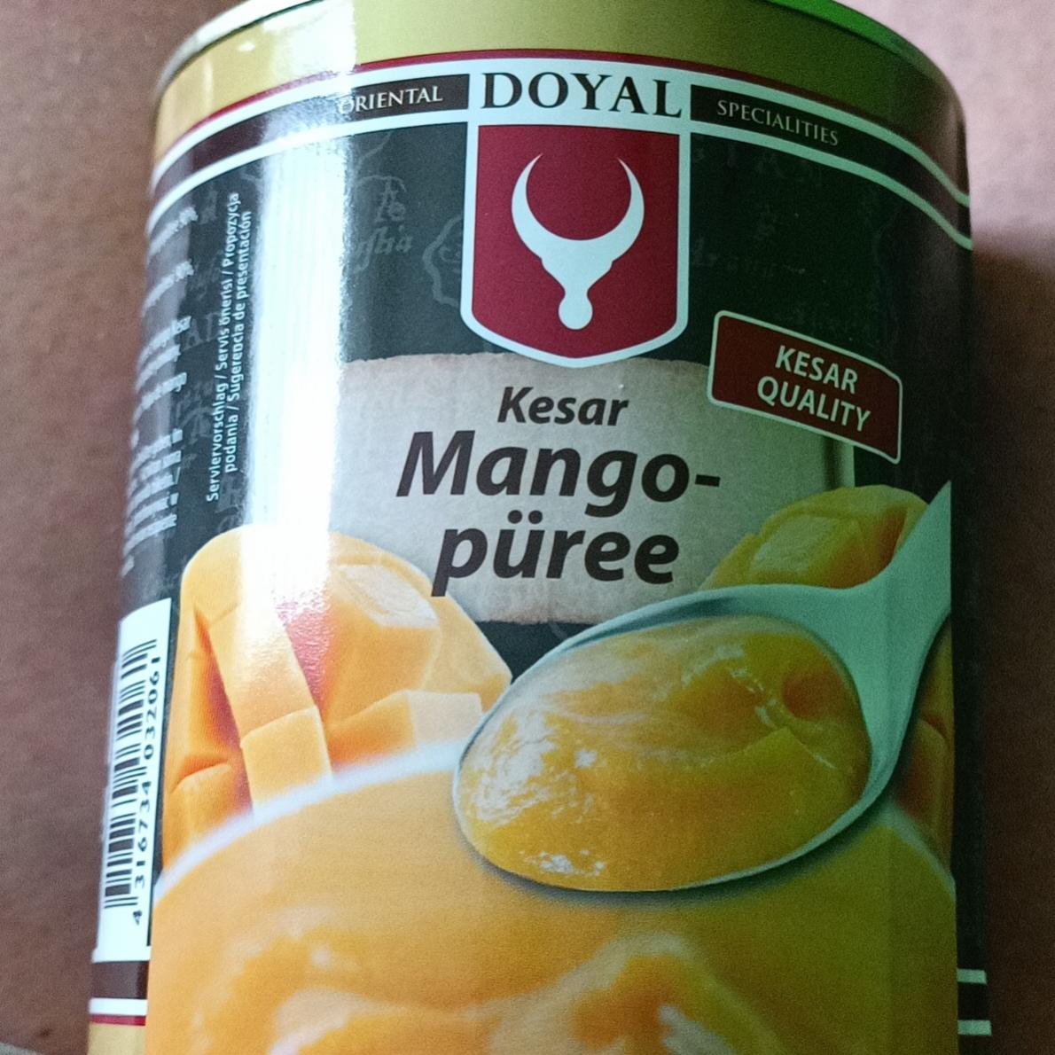 Fotografie - Kesar Mango-püree Doyal