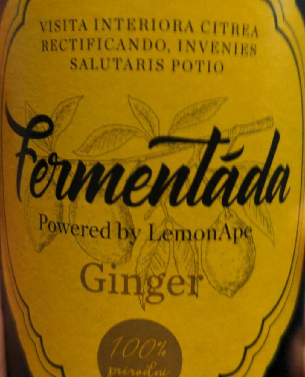 Fotografie - Fermentáda Ginger LemonApe