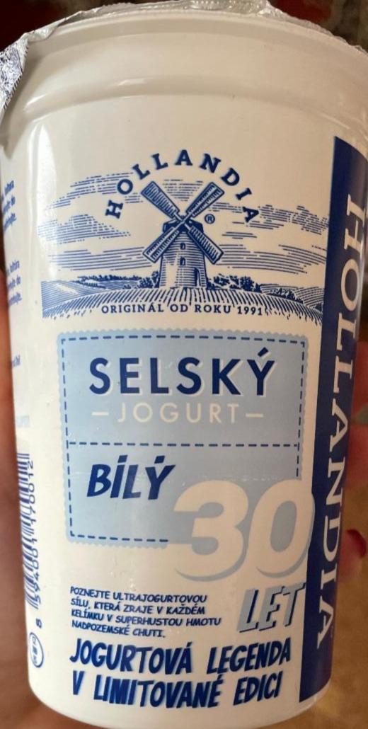 Fotografie - selský jogurt bílý 3,8% tuku Hollandia