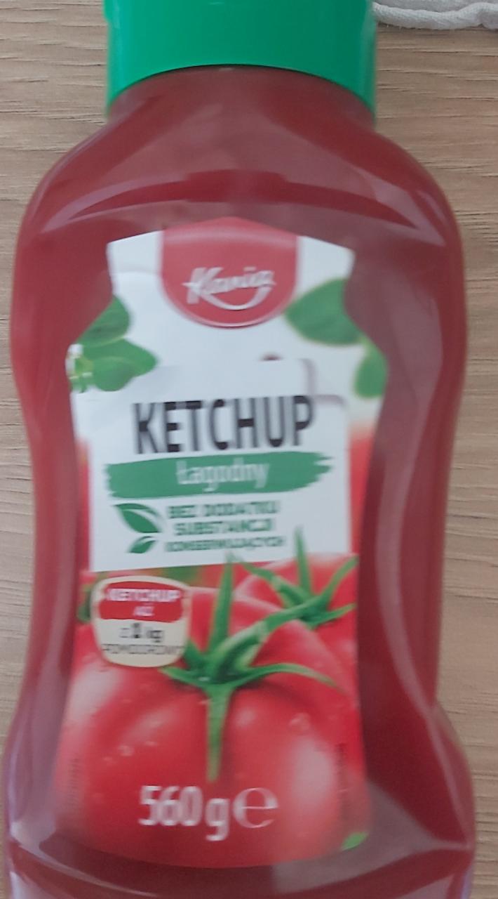 Fotografie - Ketchup lagodny