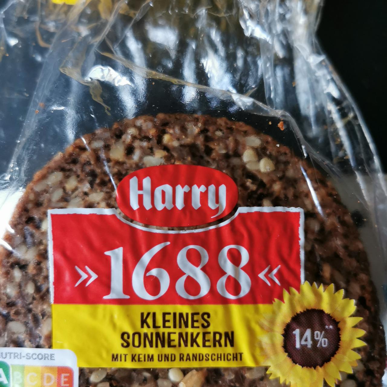 Fotografie - 1688 Kleines sonnenkern mit keim und randschicht Harry