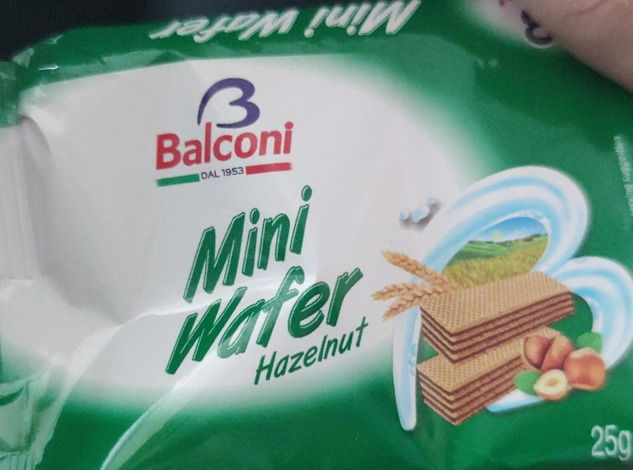 Fotografie - Mini Wafer Hazelnut Balconi