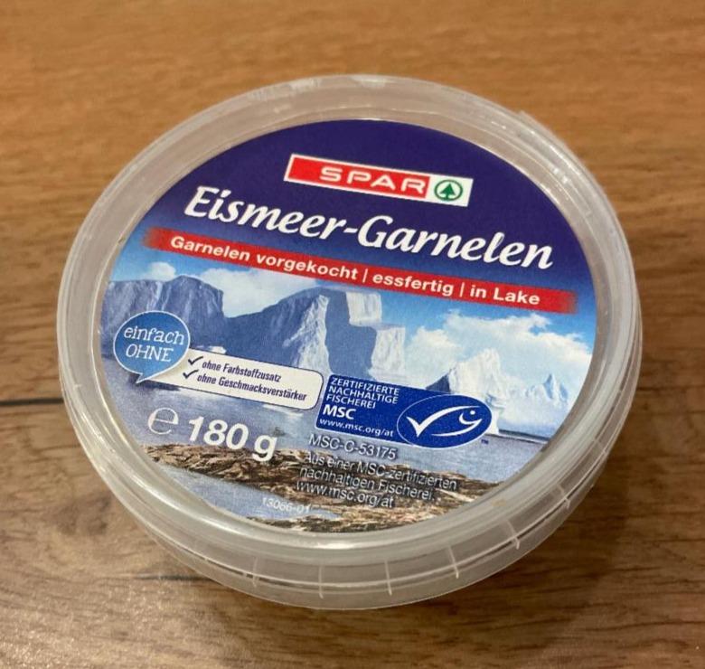 Fotografie - Eismeer-Garnelen Spar