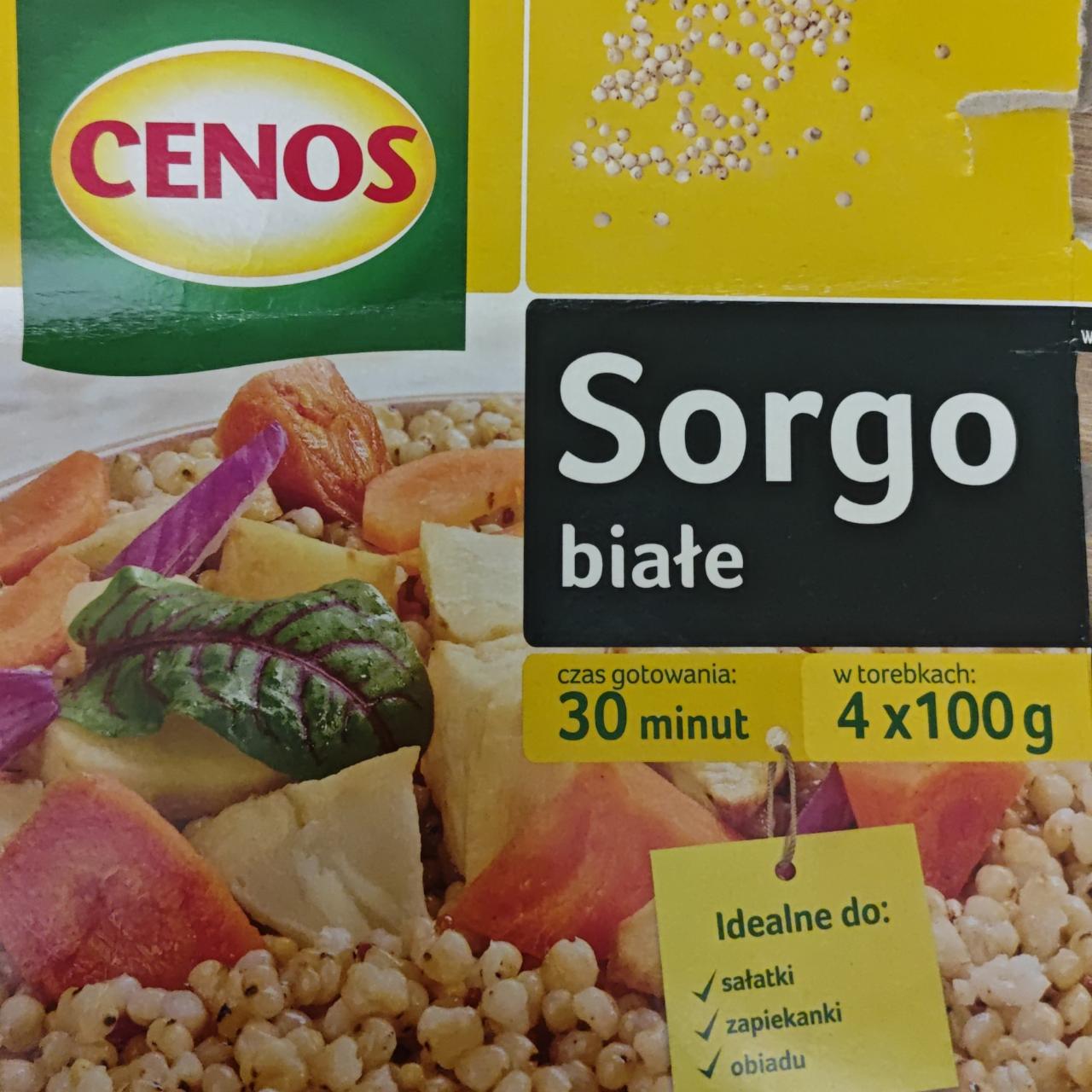 Fotografie - Sorgo białe Cenos