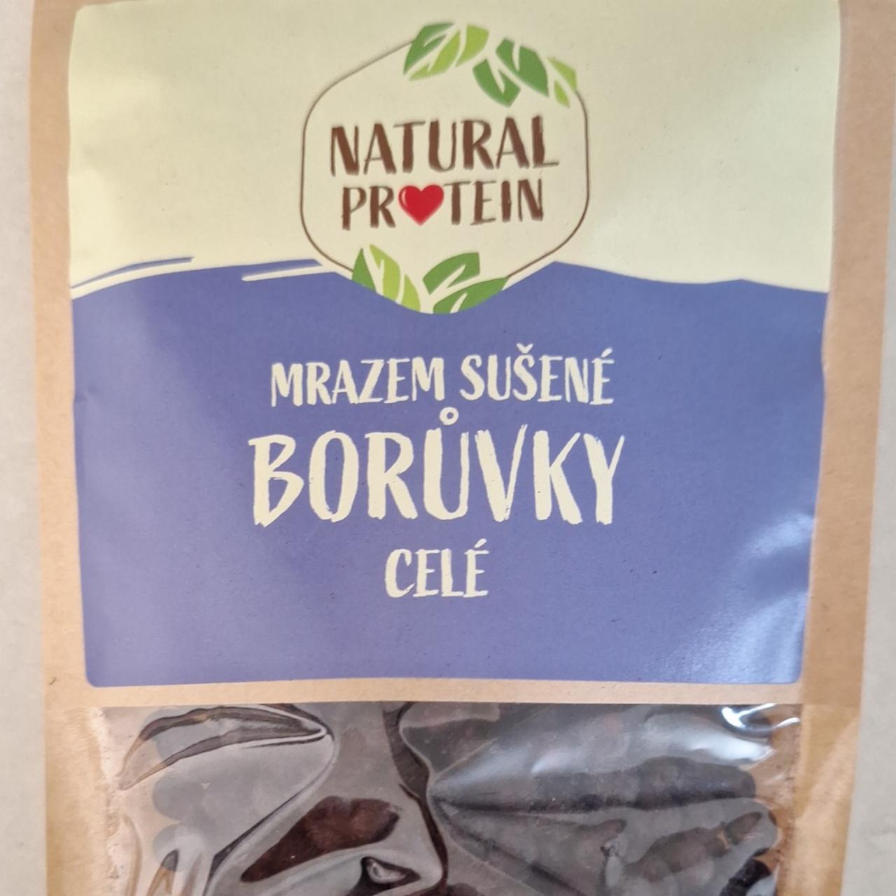 Fotografie - Mrazem sušené borůvky celé Natural protein