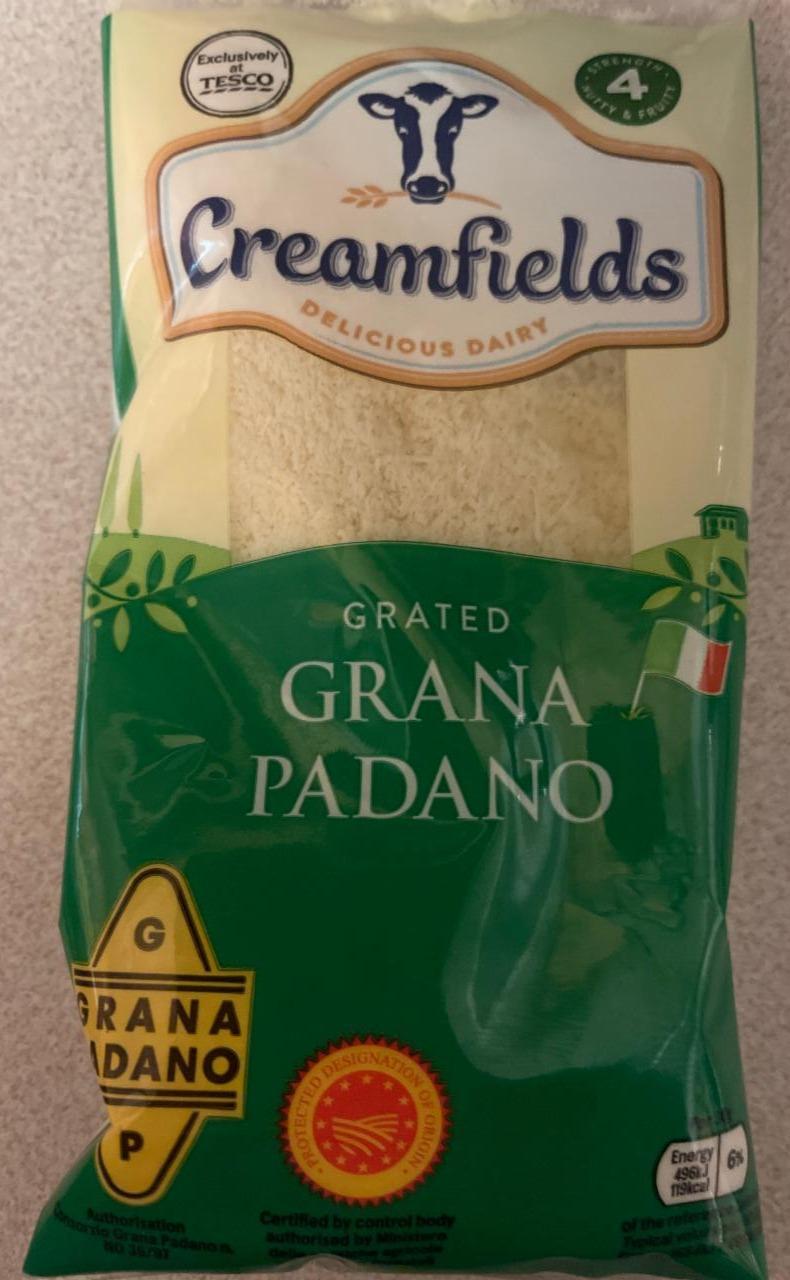 Fotografie - Grated Grana Padano Creamfields