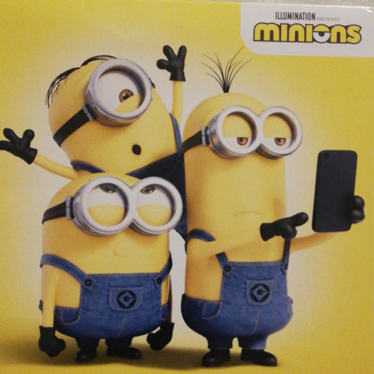 Fotografie - pralines+puzzles Minions