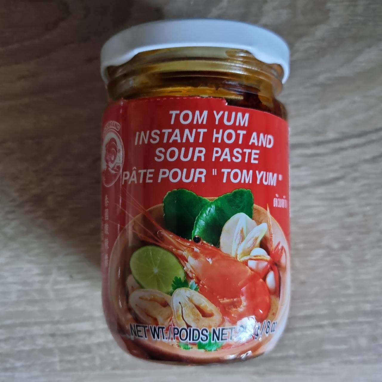 Fotografie - tom yum paste