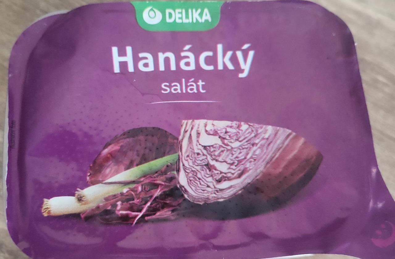 Fotografie - Hanácký salát Delika