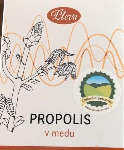 Fotografie - Propolis v medu Pleva