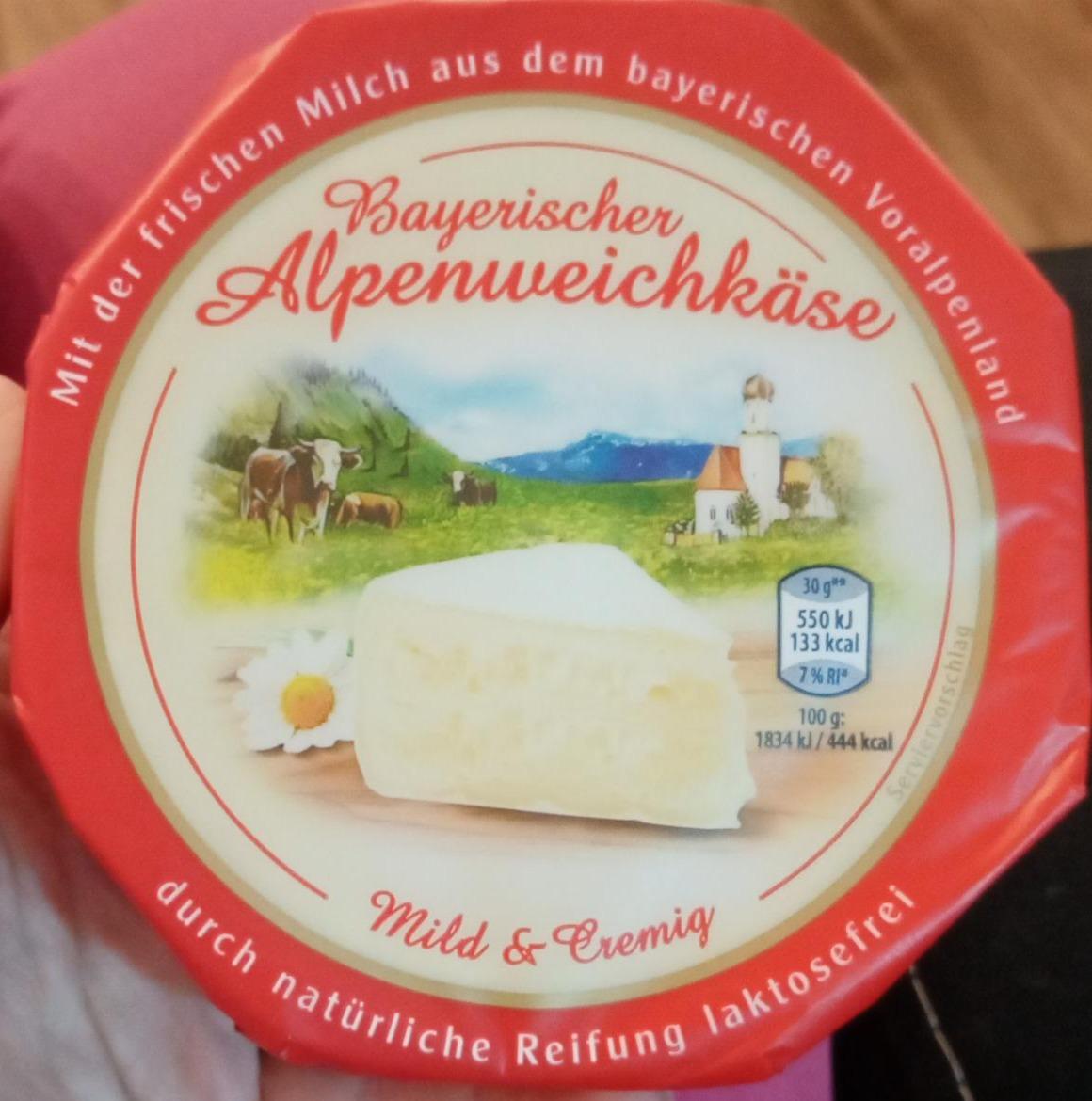 Fotografie - Bayerischer Alpenweichkäse