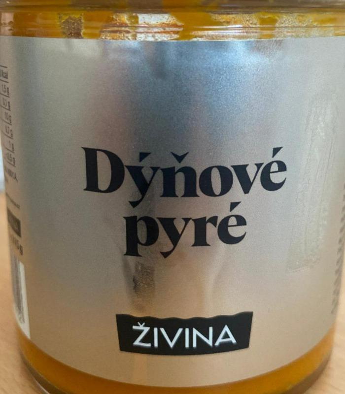 Fotografie - Dýňové pyré Živina