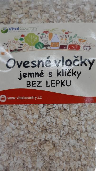 Fotografie - Ovesné vločky jemné s klíčky bez lepku VitalCountry